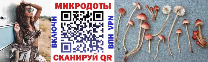 МЕГА ONION  Рассказово  Галлюциногенные грибы мицелий 
